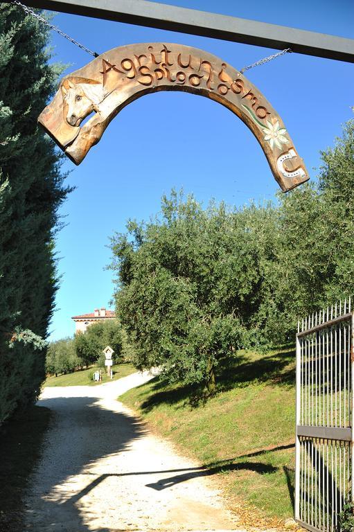 Agriturismo Spigolo Avesa 외부 사진