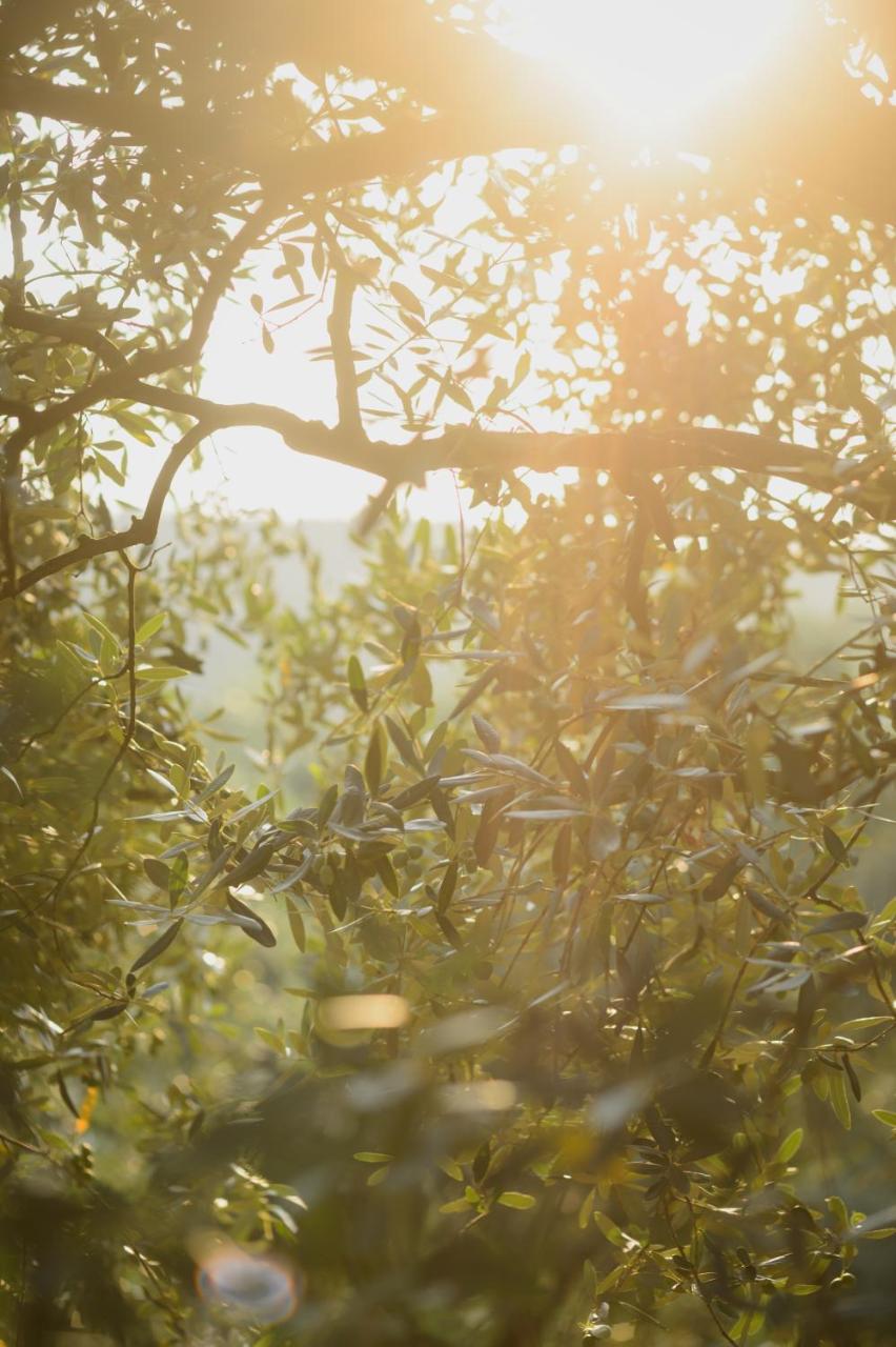 Agriturismo Spigolo Avesa 외부 사진