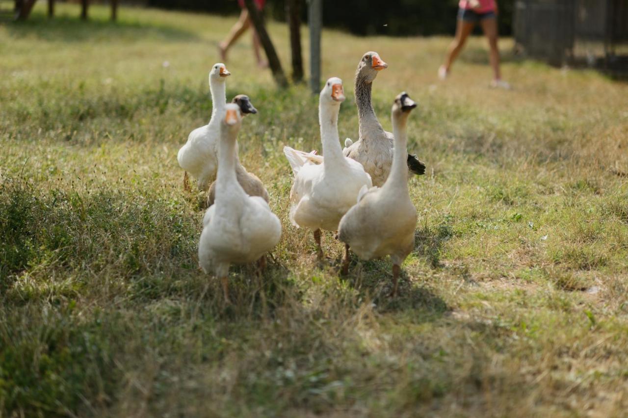 Agriturismo Spigolo Avesa 외부 사진
